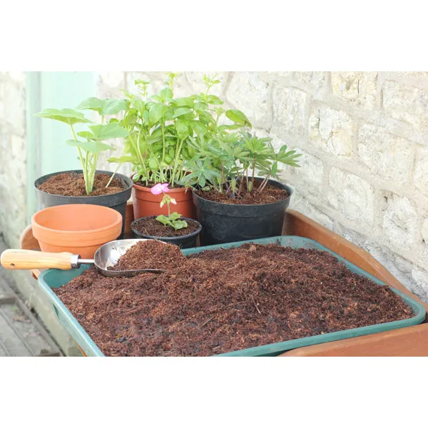 Coir Compost Block