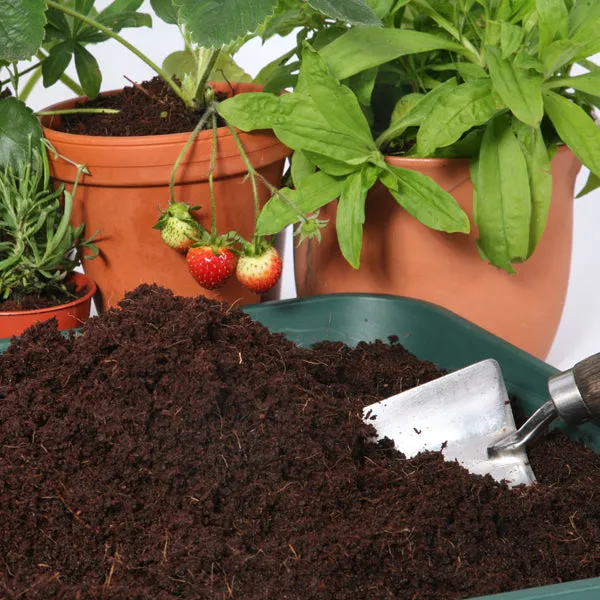 Coir Compost Block