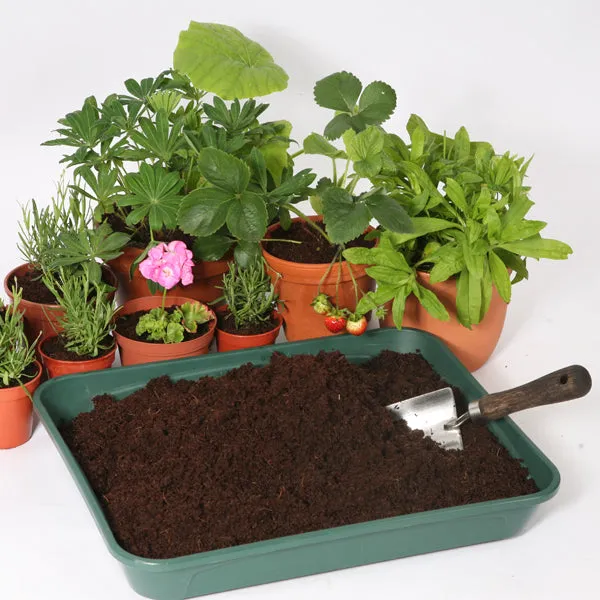 Coir Compost Block