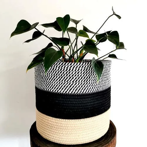 pepme Jute Cotton Planter Basket, 12 Inches for Plant Pot Storage (Tri Band, Beige, Black, Zigzag, Pack of 1)